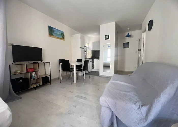 Agreable Au Centre Port * Agde