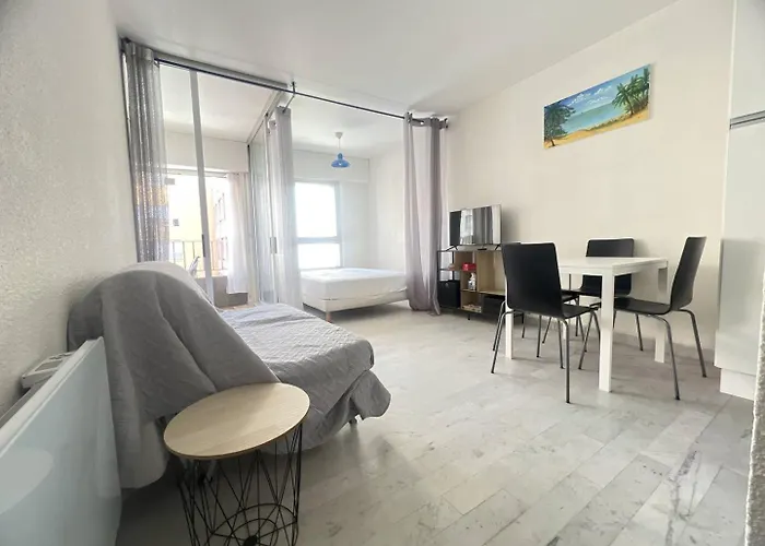 Appartement Agreable Au Centre Port Agde